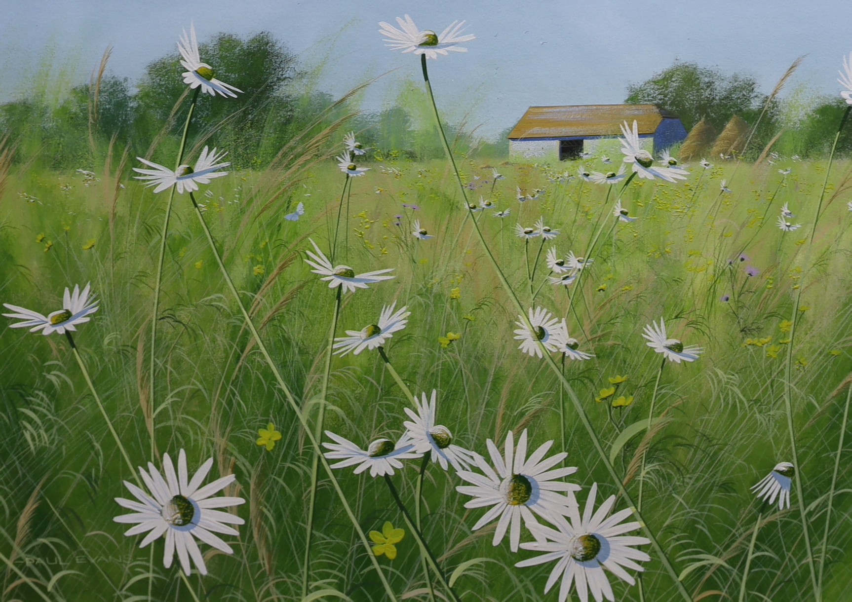 Paul Evans (1950-), gouache, 'Summer Meadow, Near Lewes', signed with artist receipt verso, 34 x 48cm